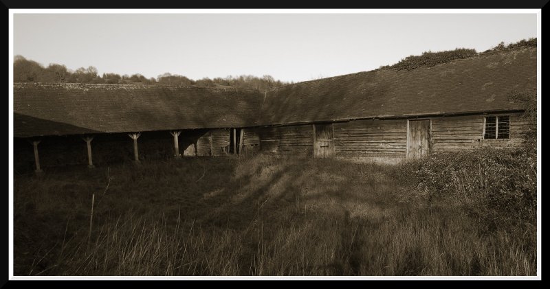 Abandonded Stables