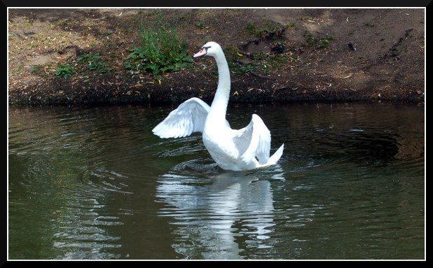 Takeoff!